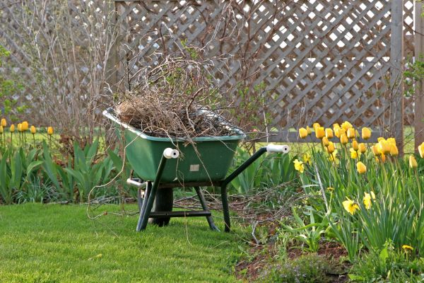 Flower Bed Cleanup Service in Leander