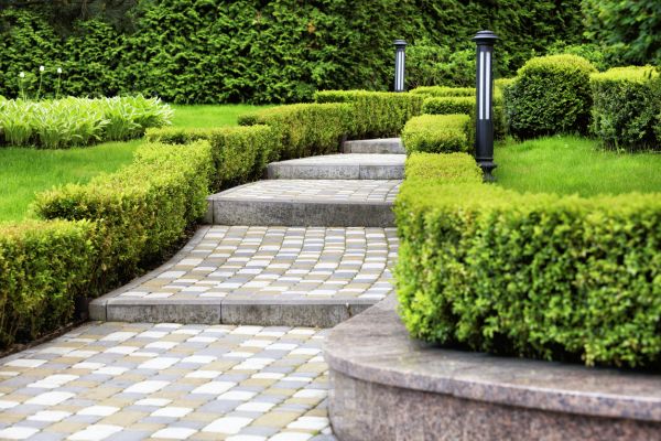 Backyard Remodeling in Leander