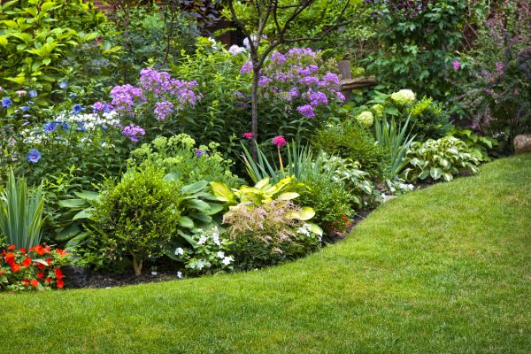 Flower Bed Service in Leander