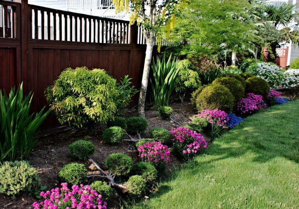 Garden Care Service in Leander