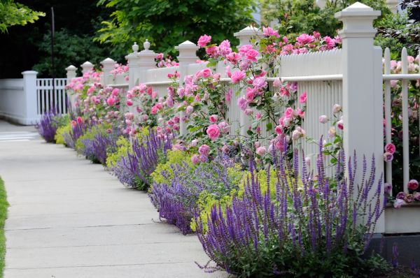 Garden Handyman Service in Leander