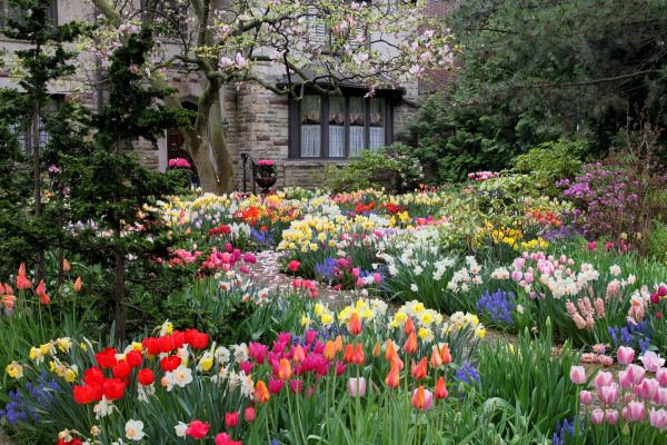 Garden Maintenance Service in Leander
