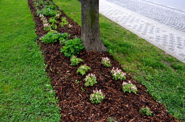 Mulch Replacement Service in Leander