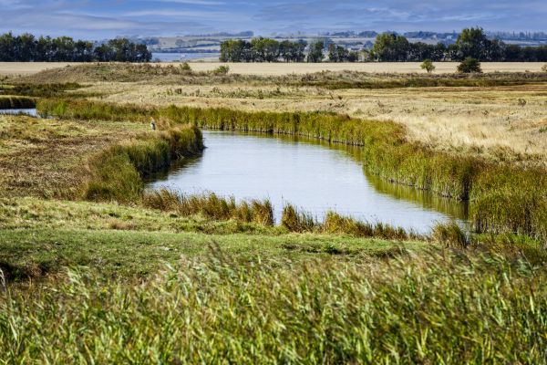 Swale Landscaping in Leander
