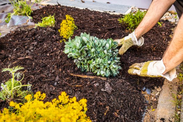 Weeding And Mulching in Leander