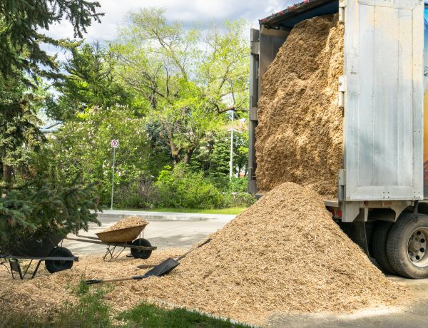 Wood Chips Delivery in Leander