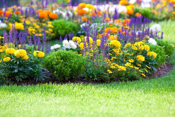 Garden Installation in Leander