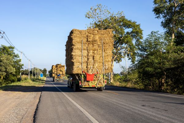 Pine Straw Delivery in Leander