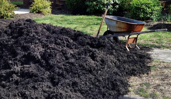 Black Mulch Delivery in Leander