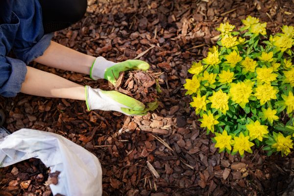 Garden Mulching in Leander
