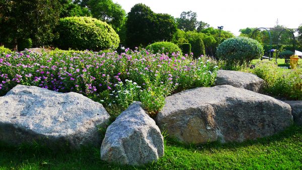 Boulder Landscaping in Leander