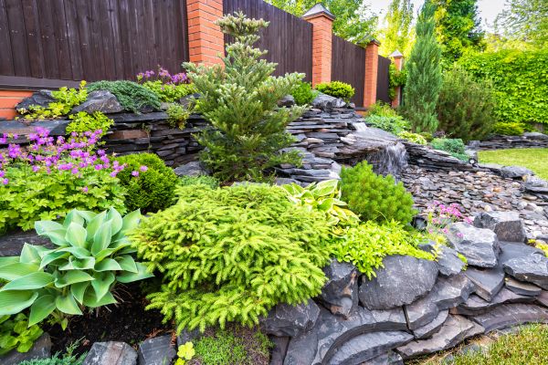 Landscape Remodeling in Leander