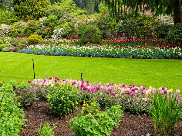 Residential Landscape Design in Leander