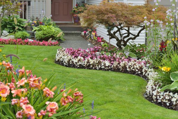 Perennial Landscaping in Leander