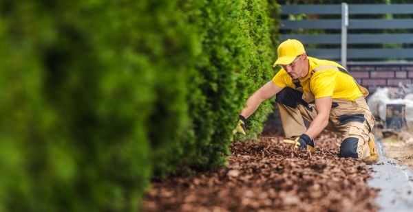 Cypress Mulch Installation in Leander