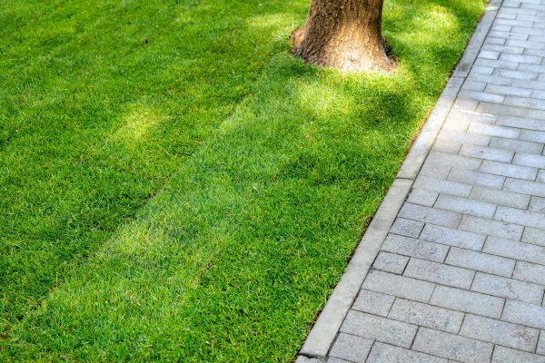 Border Stone Installation in Leander