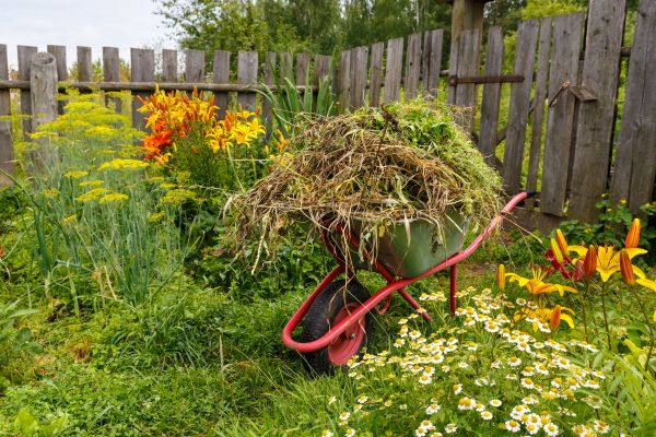 Garden Cleanup Service in Leander