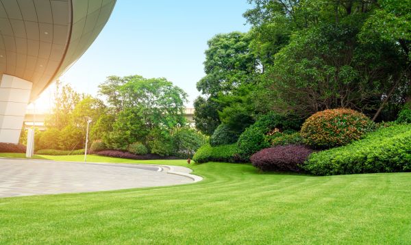 Business Landscape Design in Leander