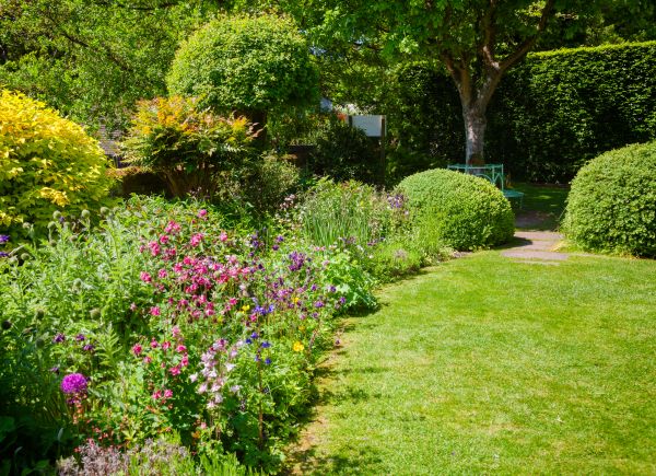 Yard Landscaping Service in Leander