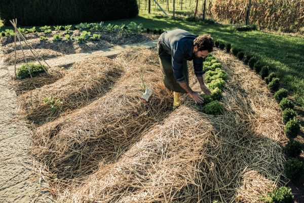 Straw Mulching Service in Leander