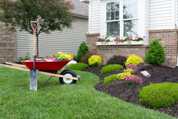 Tree And Shrub Planting in Leander