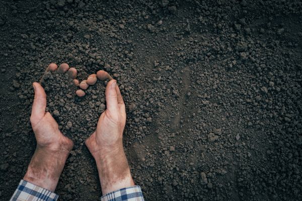 Soil Installation in Leander