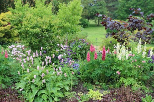 Flower Bed Planting in Leander