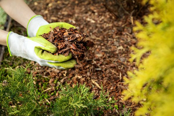 Garden Mulch Delivery in Leander