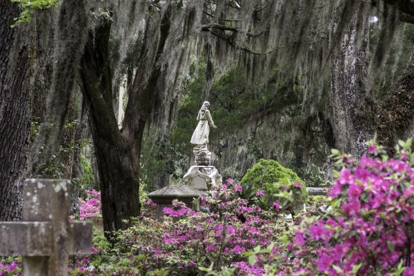 Cemetery Landscaping in Leander