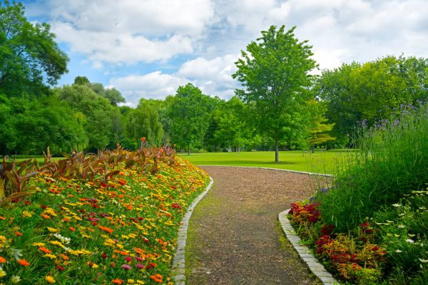 Park Landscaping in Leander
