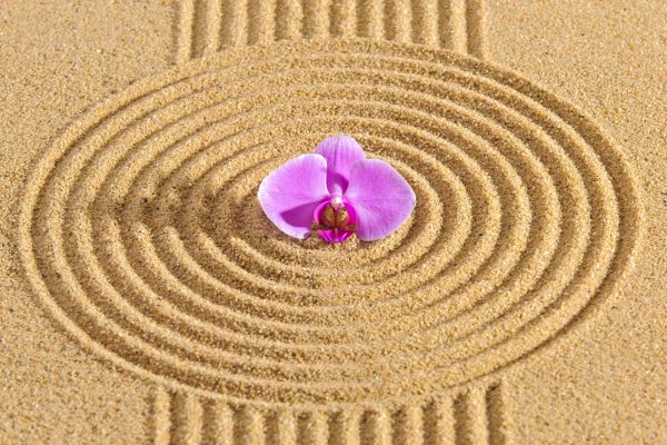 Sand Garden Landscaping in Leander