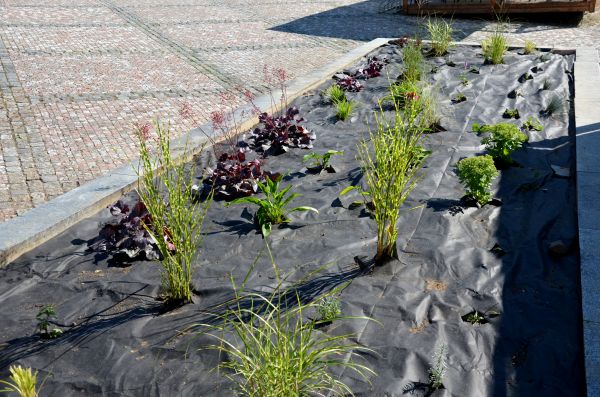 Landscape Fabric Installation in Leander