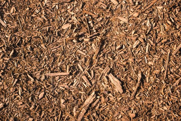 Wood Chips Removal in Leander