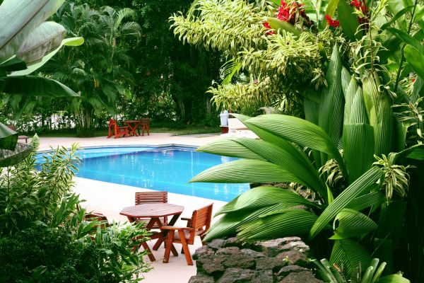 Pool Area Landscaping in Leander