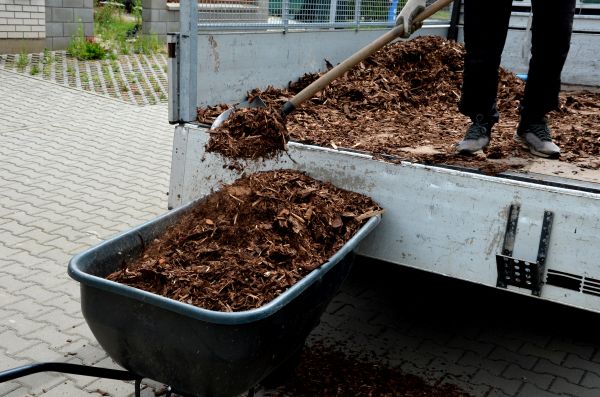 Cedar Mulch Delivery in Leander
