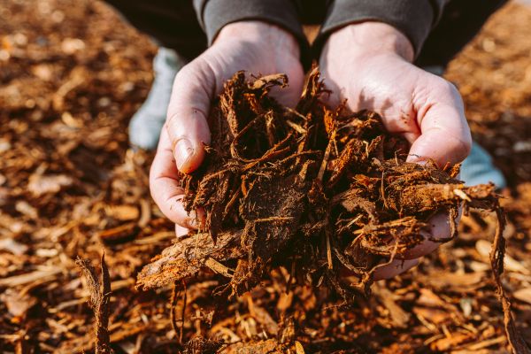 Bark Chips Delivery in Leander