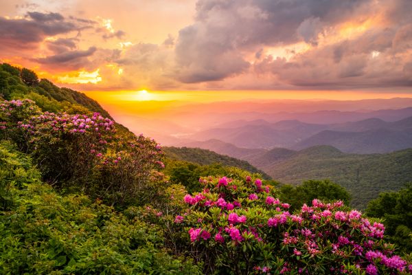 Hill Landscaping in Leander