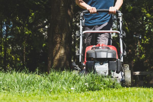 Garden Trimming Service in Leander