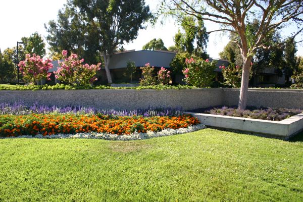 Commercial Landscape Service in Leander