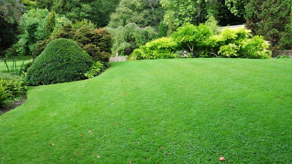 Commercial Landscape Design in Leander