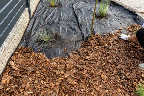Pine Bark Spreading in Leander