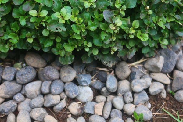River Stone Installation in Leander