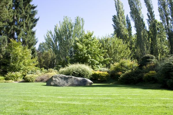 Yard Enlargement in Leander