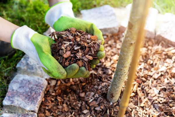 Tree Bark Delivery in Leander