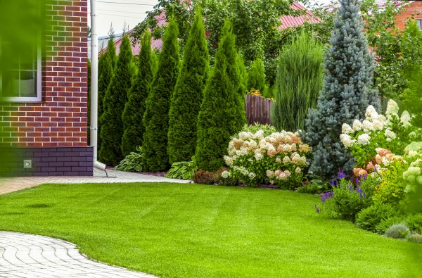 Spring Landscaping in Leander