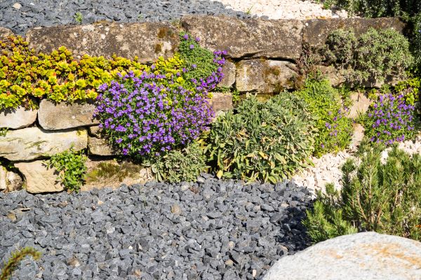 Landscaping Rocks Installation in Leander