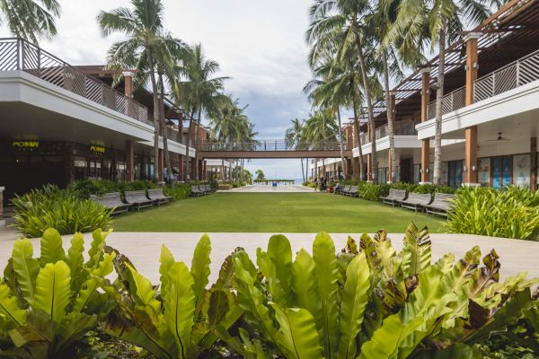 Commercial Lawn Renovation in Leander