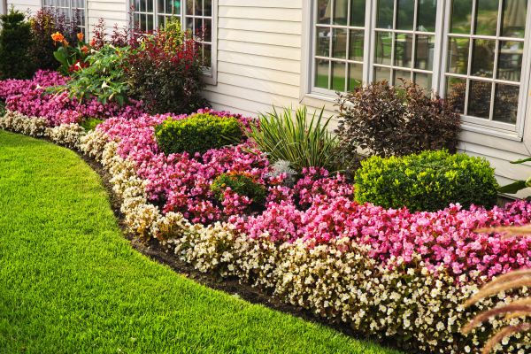 Garden Landscape Design in Leander