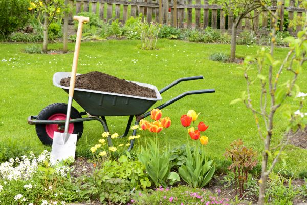 Spring Yard Renovation in Leander