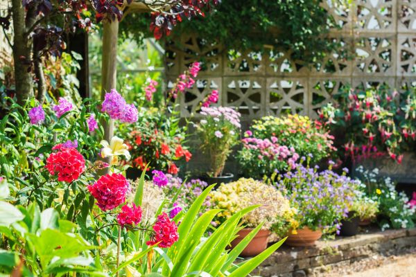Spring Garden Maintenance in Leander